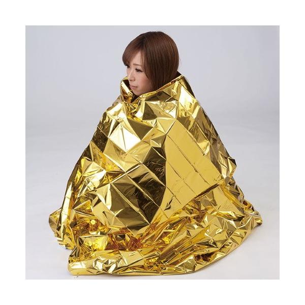 �G���p ELPA RHS-02 �h�Ɩh�Зp�i