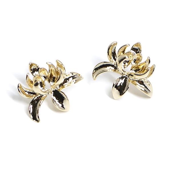 y1yAz925cIS[hLotus`[tJtsAXAp[c