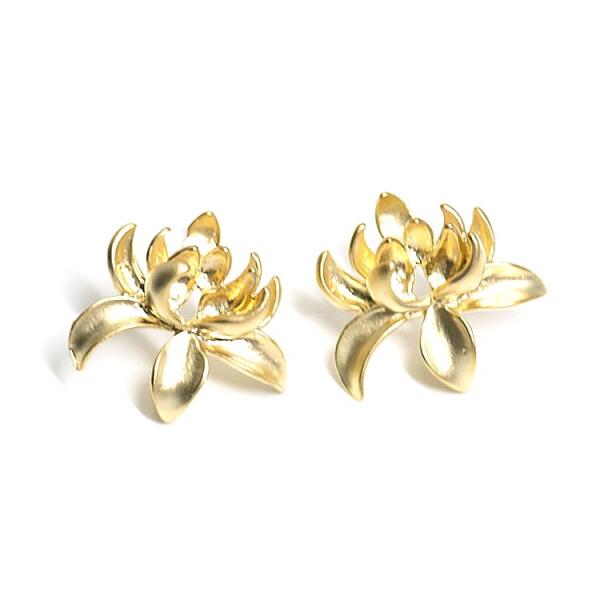 y1yAz925cI}bgS[hLotus`[tJtsAXAp[c