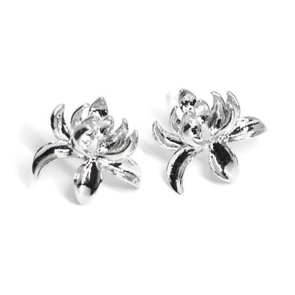 y1yAz925cIVo[Lotus`[tJtsAXAp[c