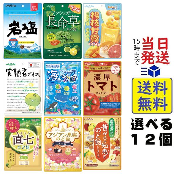 選べる１２個セット　定番全種類  扇雀飴本舗 味比べ