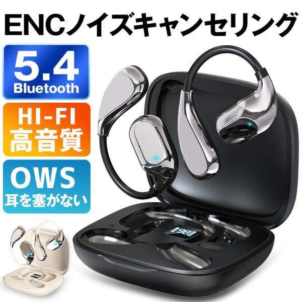 ほぼ新品HIFIMAN Swan Ear Wireless ワイヤレスイヤホン ほぼ新品HIFIMAN Swan Ear Wireless ワイヤレスイヤホン ほぼ