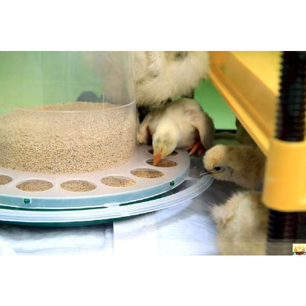 (a)쒹paEЂ悱pa(o[htB[_[)