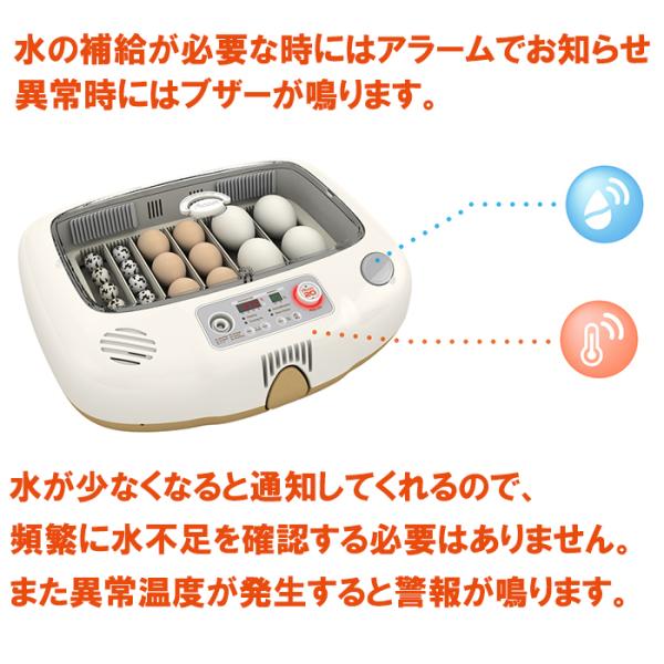Rcom 孵卵器　ビッグママ50DO　孵化器 ビッグママ50DO 全自動孵卵器(ふ卵器・孵卵機) : eバード - 通販