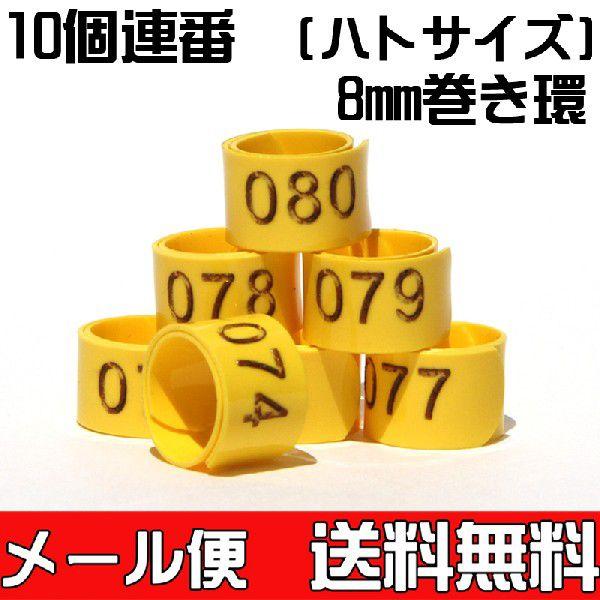 (送料無料・メール便対応代引き不可) 巻き環・鳩（ハト）サイズの足環８ｍｍ　通し番号入り１０個