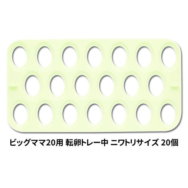 ● ビッグママ20には初めから万能卵枠は付属しております。●ビッグママ20に専用卵枠をセットしていただくと標準の万能卵枠は必要ございません。●同サイズの卵を孵卵する場合に便利なトレイです。●専用トレイ(中)ご使用時は鶏卵サイズで20個入卵出...