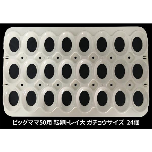 ●ビッグママ50には初めから万能卵枠は付属しております。●ビッグママ50に専用卵枠をセットしていただくと標準装備の万能卵枠は必要ございません。●同サイズの卵を孵卵する場合に便利なトレイです。●専用トレイ(大)ご使用時はガチョウサイズの卵で2...