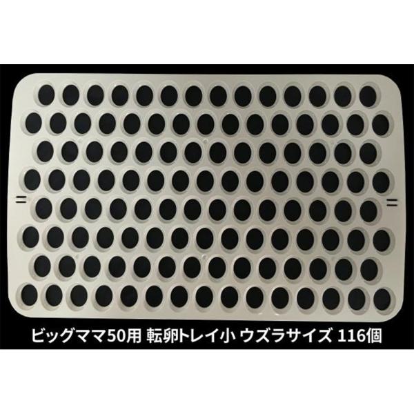 ●ビッグママ50には初めから万能卵枠は付属しております。●ビッグマ50に専用卵枠をセットしていただくと標準装備の万能卵枠は必要ございません。●同サイズの卵を孵卵する場合に便利なトレイです。●専用トレイ(小)ご使用時はウズラ・インコのサイズで...