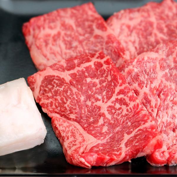 јa ē 󏭕 JmRv e100g Hה׃Zbg Mtg   a Y Ԑg ~ A5 A4 ubN j Hc