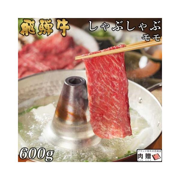  Mtg ˋ Ԃ Ԑg   a Y A5 A4 Ԃԗp Mtg p јa   600g 3`5lO