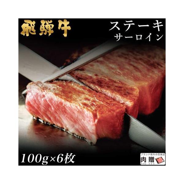 ˋ  Xe[L A5 A4 T[C  Mtg ˋ a Y j oYj j BBQ o[xL[ 100g×6 600g 3`6lO