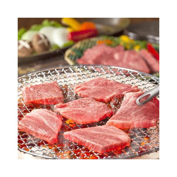 јa ē  Ԑg 1,100g 1.1kg 6`8lO Mtg  A5 A4  a Y  Ă 󏭕  zj a v[g