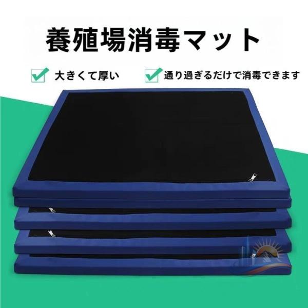 消毒フットマット マット アドバンスト 家庭用 便利 おしゃれ プレゼント 新生活 使いやすい 快適 省スペース 実用的 ギフト 人気 清潔 おすすめ 便利グッズ