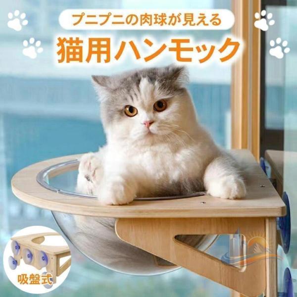 猫用 猫ベッド 透明 クリアボウル アドバンスト 宇宙船型 強力吸盤 半球 取り付けタイプ 吸盤 頑丈 一人暮らし リビング 寝室 来客用 省スペース 快適 便利