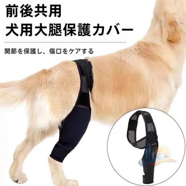 前足後足左右兼用 犬 ペット 用品 プロテクタ サポータ アドバンスト 関節保護 術後 治療 家庭用 業務用 日常使い 省スペース 使いやすい 多用途 便利 おしゃれ