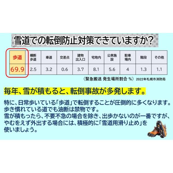 bellclochette_od-aizen8-01_1_d_20231129110903