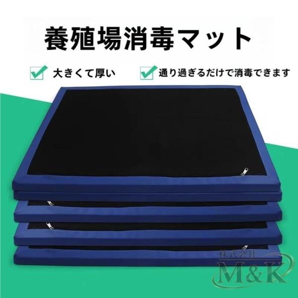 消毒フットマット、2個入りスポンジエントランスマット消毒フロントドアマットエントリラグ病院実験室用動物飼育用人間工学フロアパッド