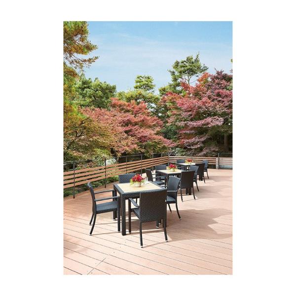 セール特価 アダル Izabella Arm Chair アームチェアエクステリアファニチャー外構洋風アメリカンガーデニングガーデンお庭 プールサイド 玄関先迄納品