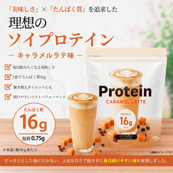 プロテイン ソイプロテイン ホエイプロテイン Wプロテイン キャラメルラテ味 16食分 たんぱく質16g 国内製造