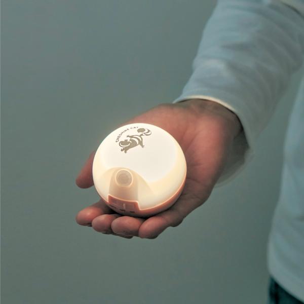 bellemaison_1229296-001