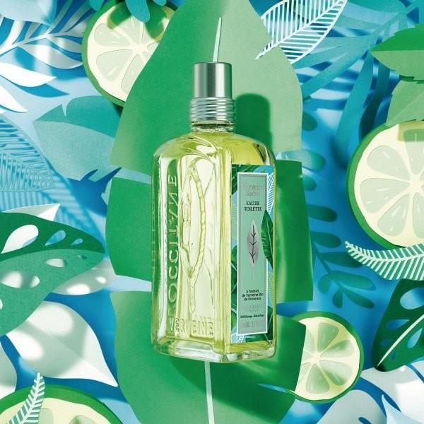 香水 ロクシタン ミントヴァーベナ オードトワレ フレグランス さわやか ミント ベルメゾン Paypayモール店 通販 Paypayモール