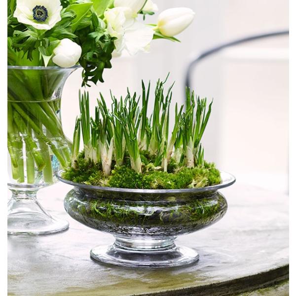 花瓶 ガラス 北欧 ホルムガード Old English フラワーボウル F 19cm 吹きガラス ギフト 日本正規代理店品 Buyee Buyee Japanese Proxy Service Buy From Japan Bot Online