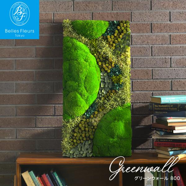 プリザーブドフラワー グリーンウォール【800】の魅力と選び方