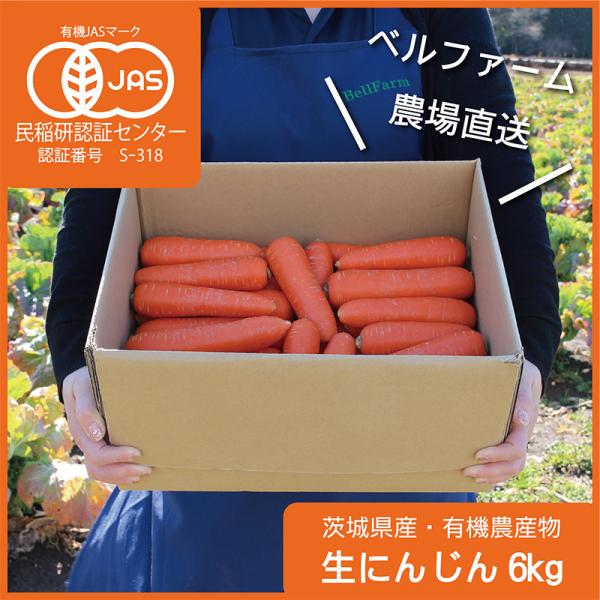 有機JAS認証取得のベルファーム農場で育ったにんじんは、甘みがとっても強く水分量が多いため、ジュースやスムージー、ポタージュなどに最適です。人参は抗酸化食品と言われ、豊富なβカロテン、ビタミンC、ビタミンE、ポリフェノールなどを含んでいます...