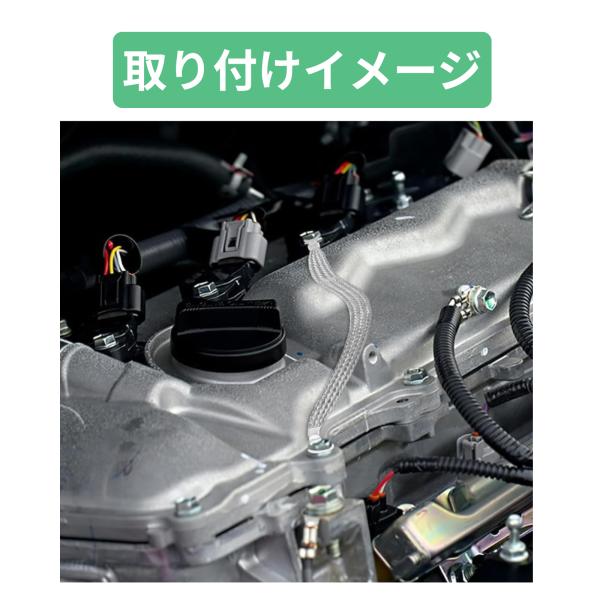 bellpear_bo-car001_2_d_20250806121257