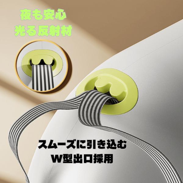 bellpear_bo-p010_2_d_20251030130318