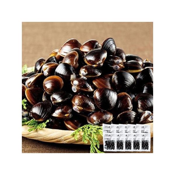 Hi ⓀHi  ΂̗Ⓚa݁@