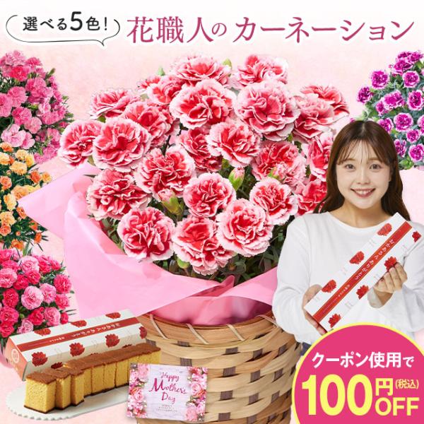 生花 カーネーション 鉢植えの人気商品 通販 価格比較 価格 Com