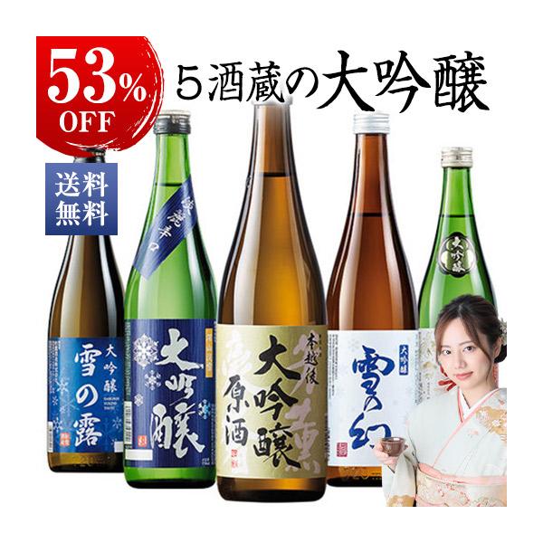 特別送料無料 日本酒 父の日 大吟醸酒 特割 越乃五蔵 大吟醸 飲みくらべ 5本組 飲み比べセット 720ml 5本 49%オフ 2024 お中元 ギフト 【ギフト対象商品】