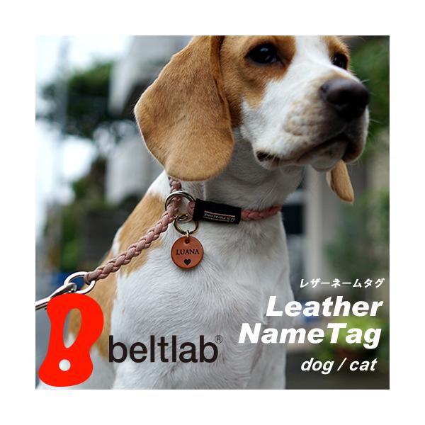  L ybg l[^O `[ D  [U[ Z~I[_[ {v { 8܂