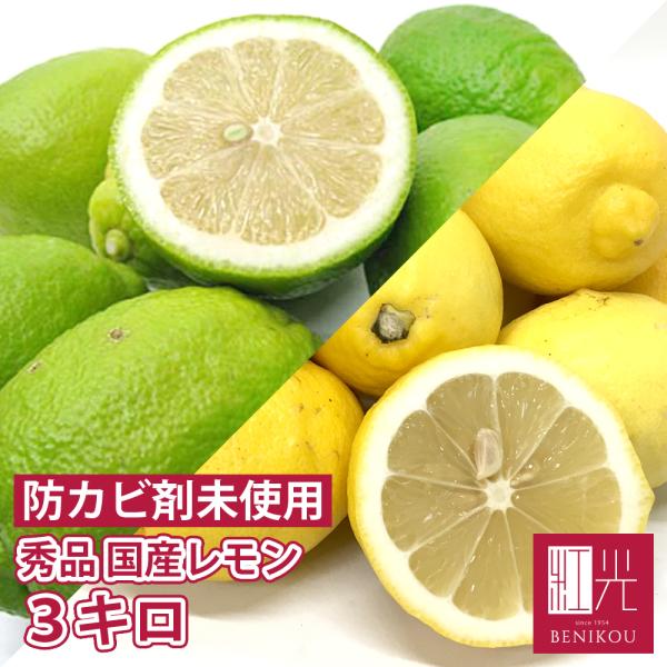 国産レモン 国産 秀品 3kg 「北海道・沖縄は+1100円」 ノーワックス