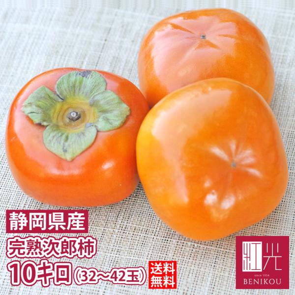 【送料無料】次郎柿 約10kg 静岡県浜松市浜北区足立さんら栽培 (約32〜42個入) 「北海道・沖縄は+1100円」 果物 フルーツ