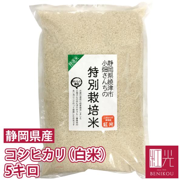 【令和7年度産】静岡県産 小畑さんのコシヒカリ 精米 (白米) 5kg 「北海道・沖縄は+1100円」 お米 白米 米 ミルキークイーン