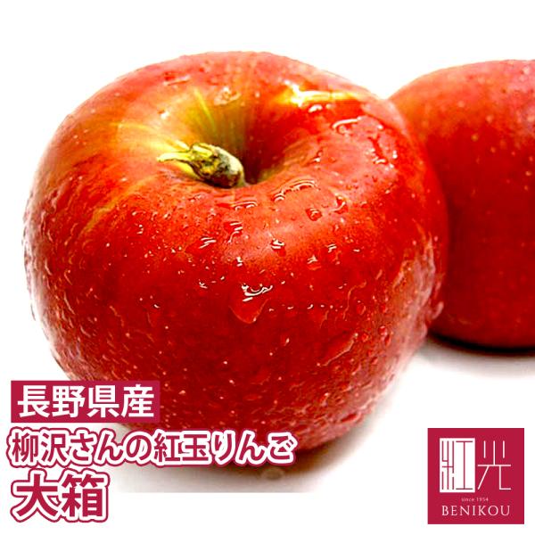 【予約・10月上旬頃から順次出荷開始予定】柳沢さんの低農薬栽培 紅玉 りんご 大箱（約18〜24個入）約4kg「北海道・沖縄は送料+1100円」