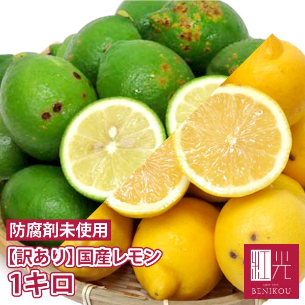 国産 レモン 静岡産 訳あり B品 1kg 「北海道・沖縄の配送+1100円
