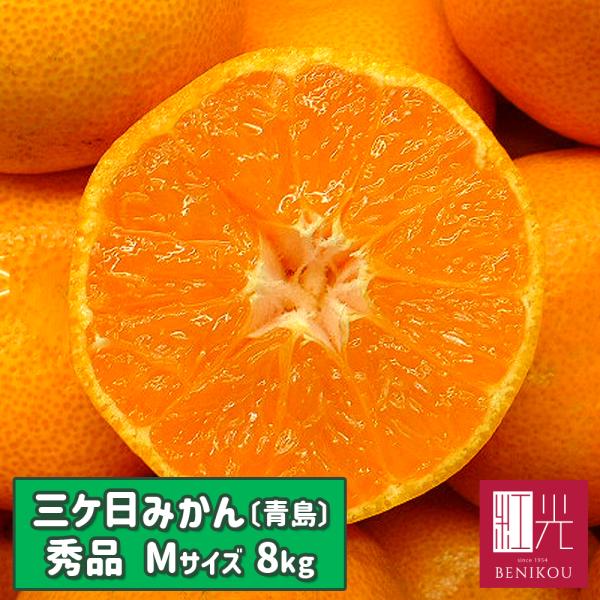 三ヶ日青島みかん　みかん　8kg ミカン　三ヶ日みかん 青島〕三ケ日みかん 【秀品】 Mサイズ 8kg 「北海道・沖縄は+1100円