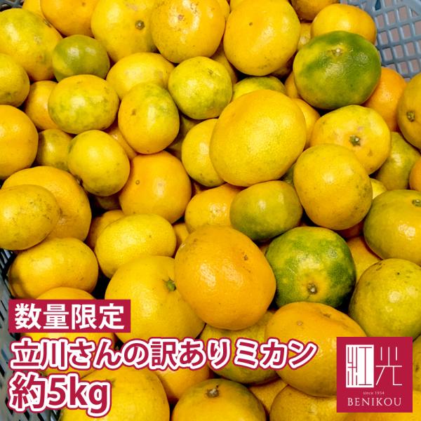 静岡県産 立川さんの低農薬栽培 訳あり 由良みかん 5kg ミカン 柑橘 果物 ギフト 家庭用 北海道・沖縄は送料＋1,100円