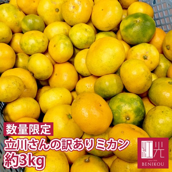 静岡県産 立川さんの低農薬栽培 訳あり 由良みかん 3kg ミカン 柑橘 果物 ギフト 家庭用 北海道・沖縄は送料＋1,100円