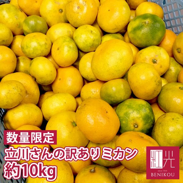 静岡県産 立川さんの低農薬栽培 訳あり 由良みかん 10kg ミカン 柑橘 果物 ギフト 家庭用 北海道・沖縄は送料＋1,100円