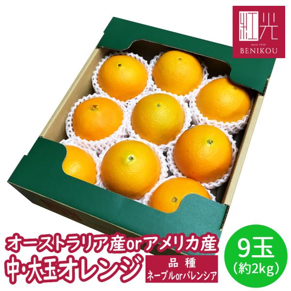 オレンジ 9玉（約1.8kg）「北海道・沖縄は+1100円」 アメリカ オーストラリア ネーブル バレンシア 柑橘 果物