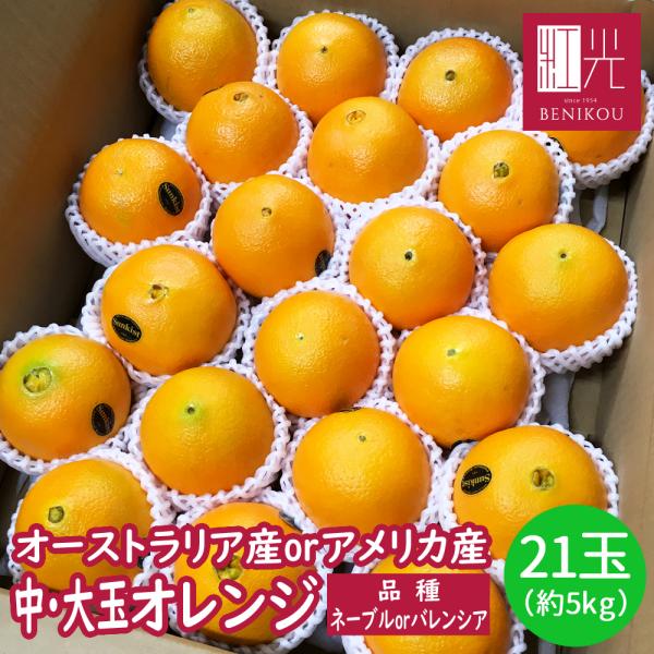 オレンジ 21玉（約4.5kg）「北海道・沖縄は+1100円」 アメリカ産 オーストラリア産 ネーブル バレンシア 柑橘 果物
