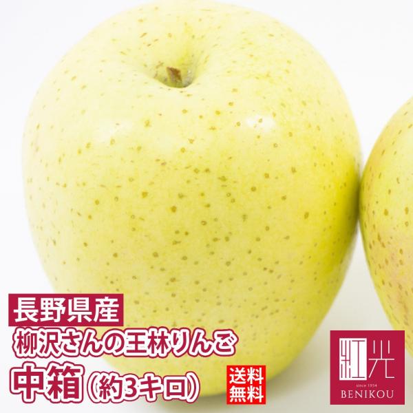 王林 りんご 柳沢さんの低農薬栽培 王林リンゴ 中箱 （約3キロ 7-9個） 「北海道・沖縄・その他離島は送料+1100円」 果物 フルーツ 林檎
