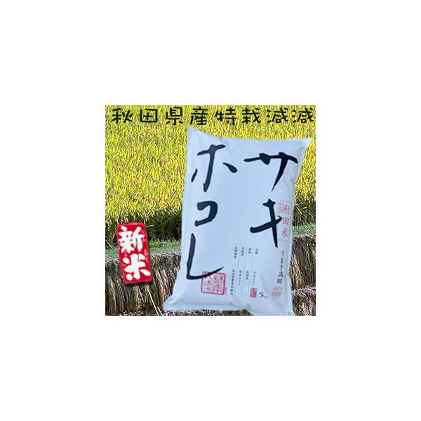 玄米30キロ✖️２　　　ぽちちゃん 玄米]秋田県産 あきたこまち 令和6年産 [30kg][秋田米サキホコレ