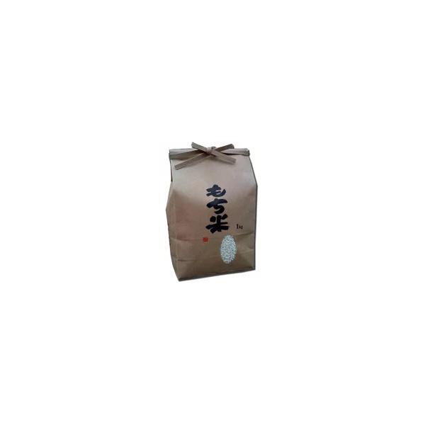 令和6年産 茨城県 ひめのもち もち米 精米 10kg(5kg×2) モチ米