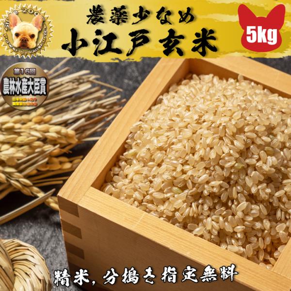 令和6年産 小江戸玄米 5kg ほしじるし 1等 精米無料 Wソート 異物除去済み