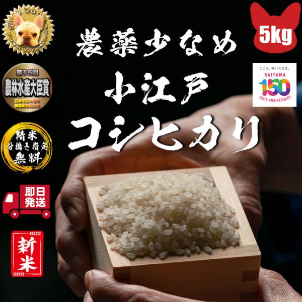 卸売り 埼玉産コシヒカリ玄米10kg 5ｋgx2袋 令和4年産 ご希望で精米無料 ※北海道 九州400円割増 沖縄1,800円割増